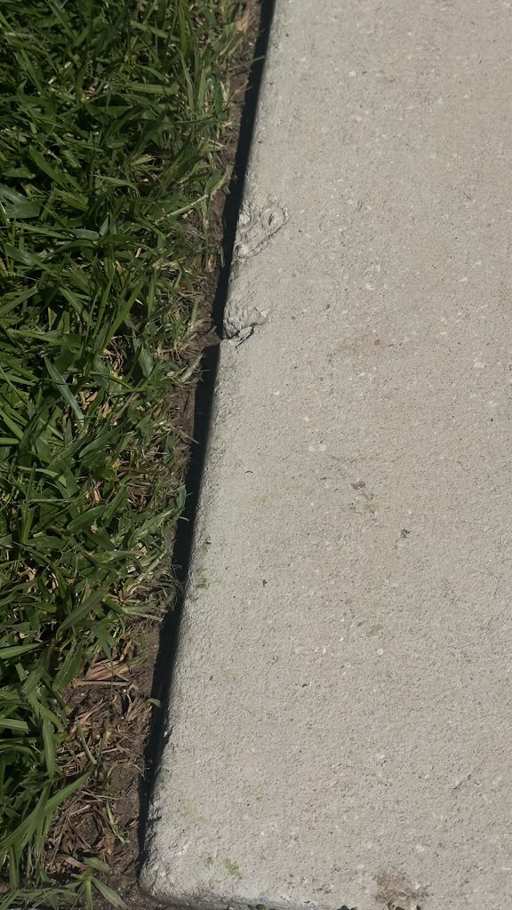 Defined lawn edge after RR Elite detailing