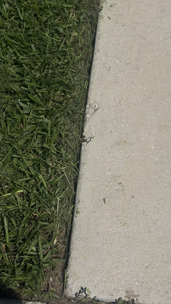 Lawn edge before RR Elite detailing